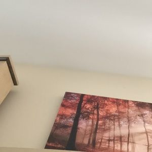 Meet your Posher, Bode